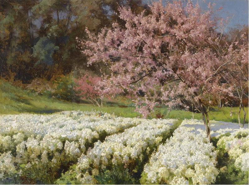 Antonio Mancini Spring blossom China oil painting art
